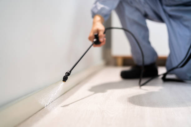 Bed Bug Pre-Treatment Preparation Assessment in Bend